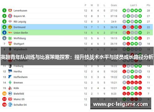 英超青年队训练与比赛策略探索：提升技战术水平与球员成长路径分析