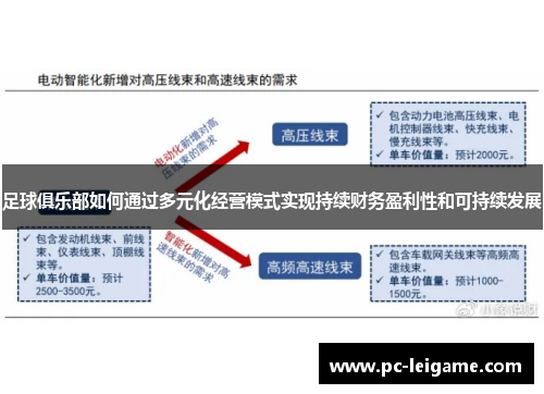 足球俱乐部如何通过多元化经营模式实现持续财务盈利性和可持续发展 足球俱乐部如何通过多元化经营模式实现持续财务盈利性和可持续发展