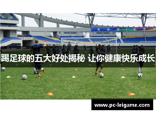 踢足球的五大好处揭秘 让你健康快乐成长